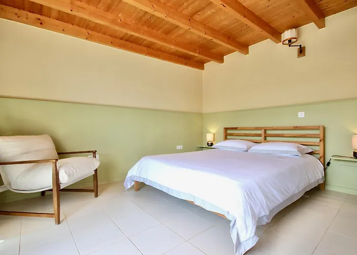 El Sol De La Manana Mozaga